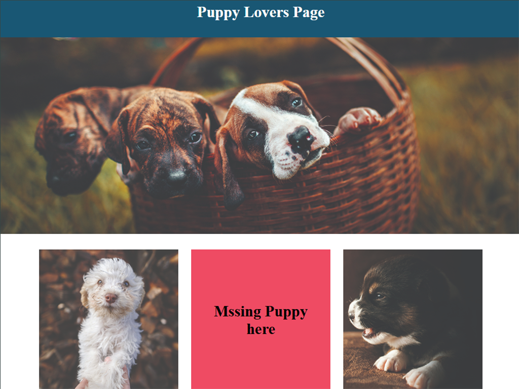 Puppy Page